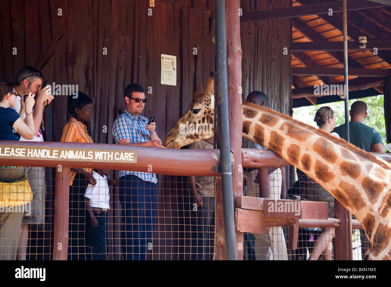 Langata Nature Education Centre, Giraffe Centre, Nairobi, Kenia Stockfoto