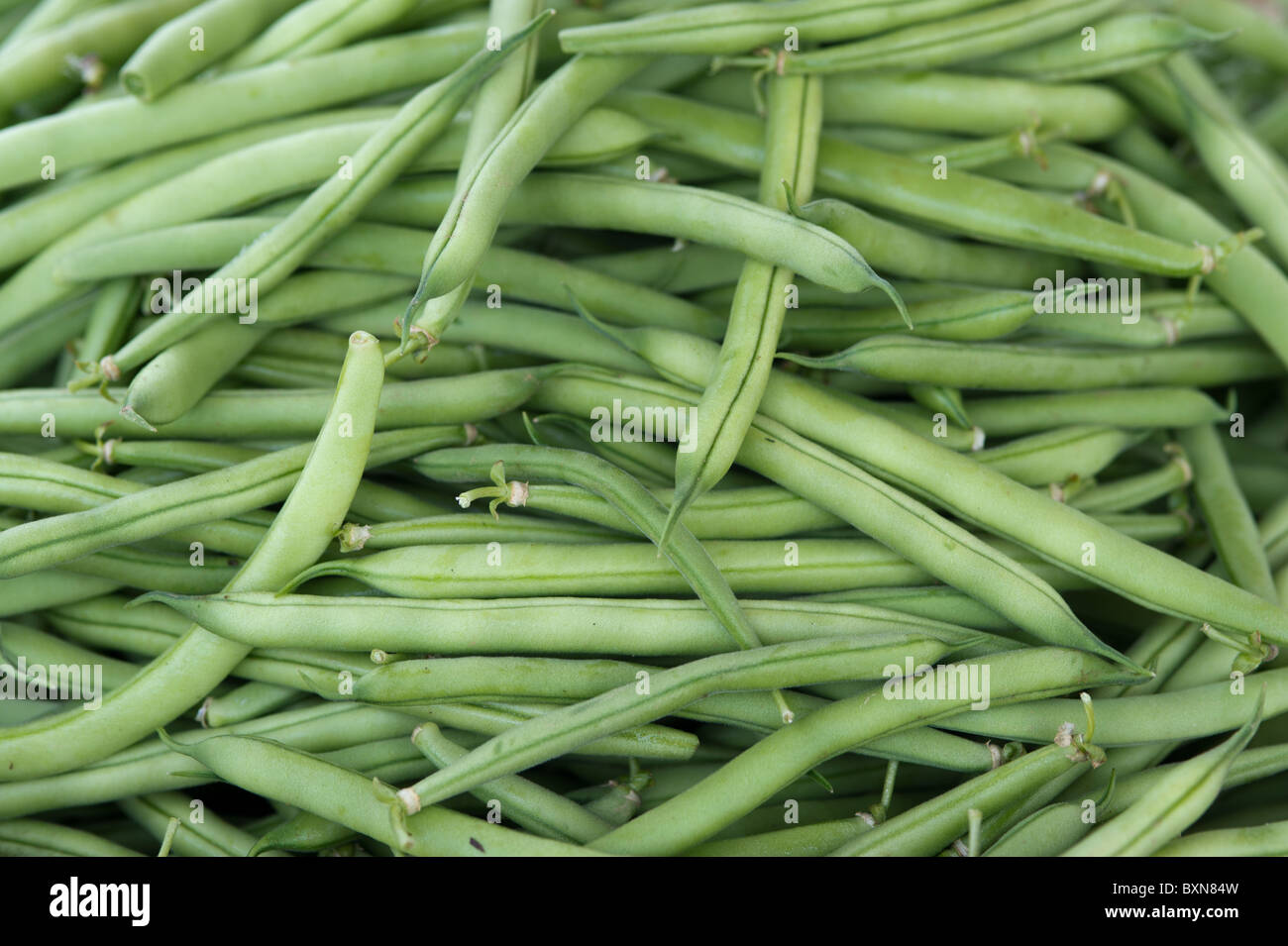 Grüne Bohnen Stockfoto