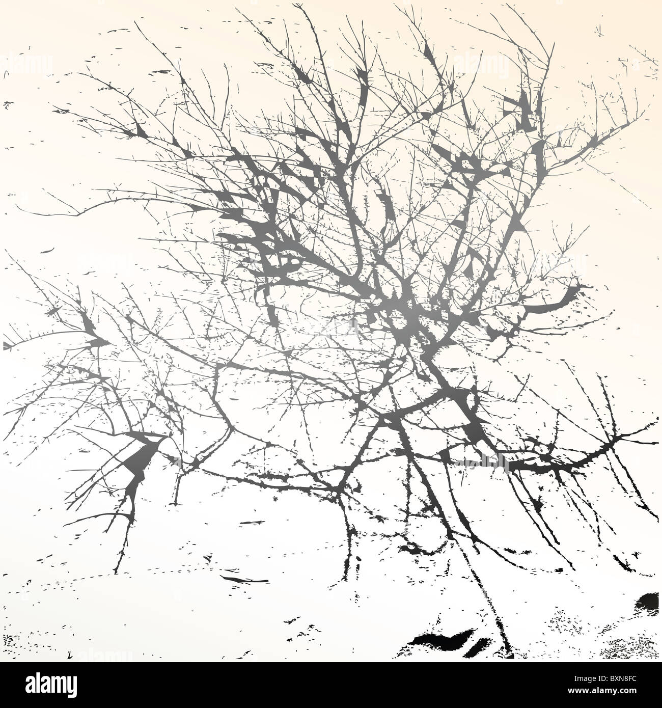 Textur Marmor Stockfoto