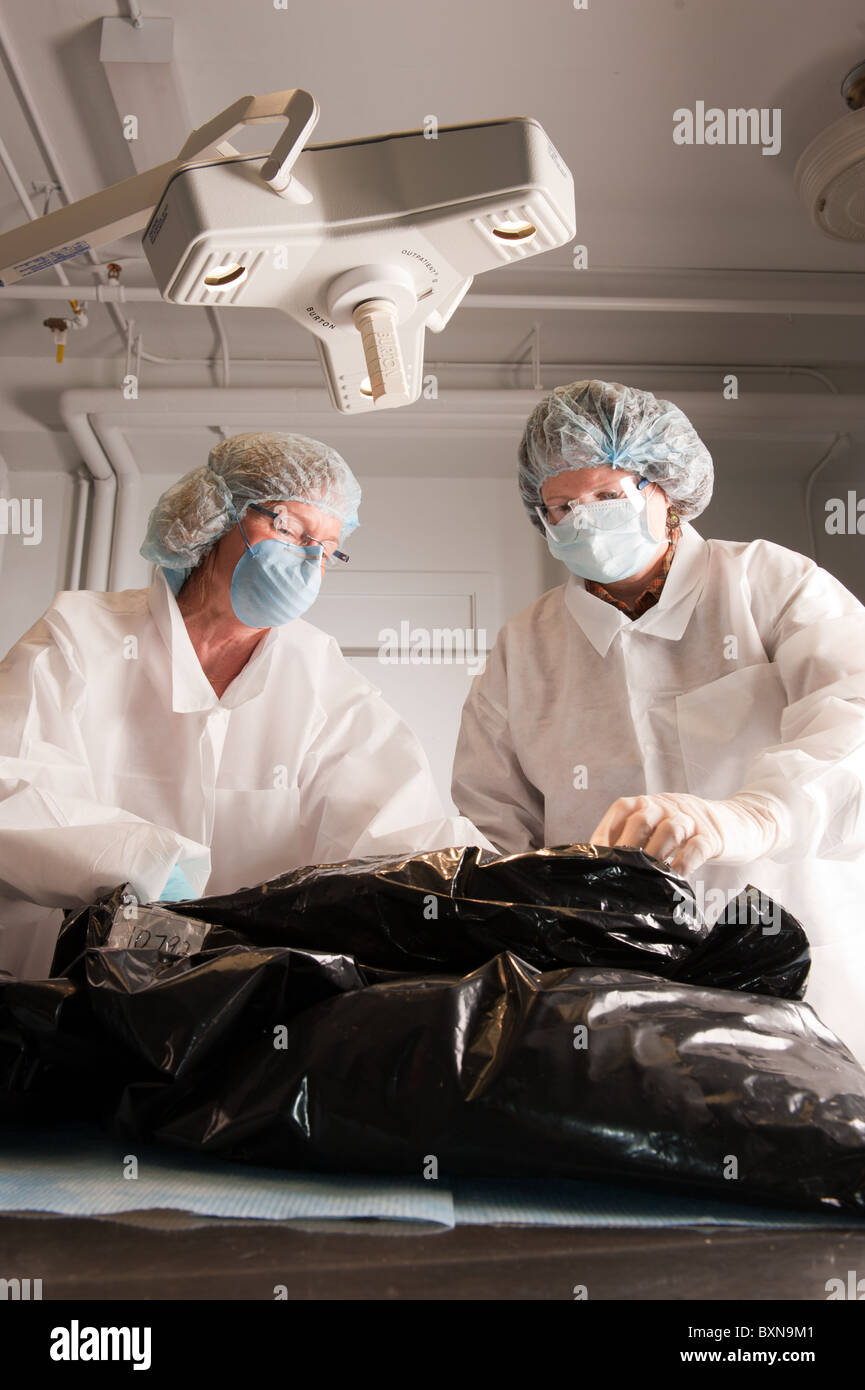 Autopsie-diagnostischen Labor an Universität von Maine Stockfoto