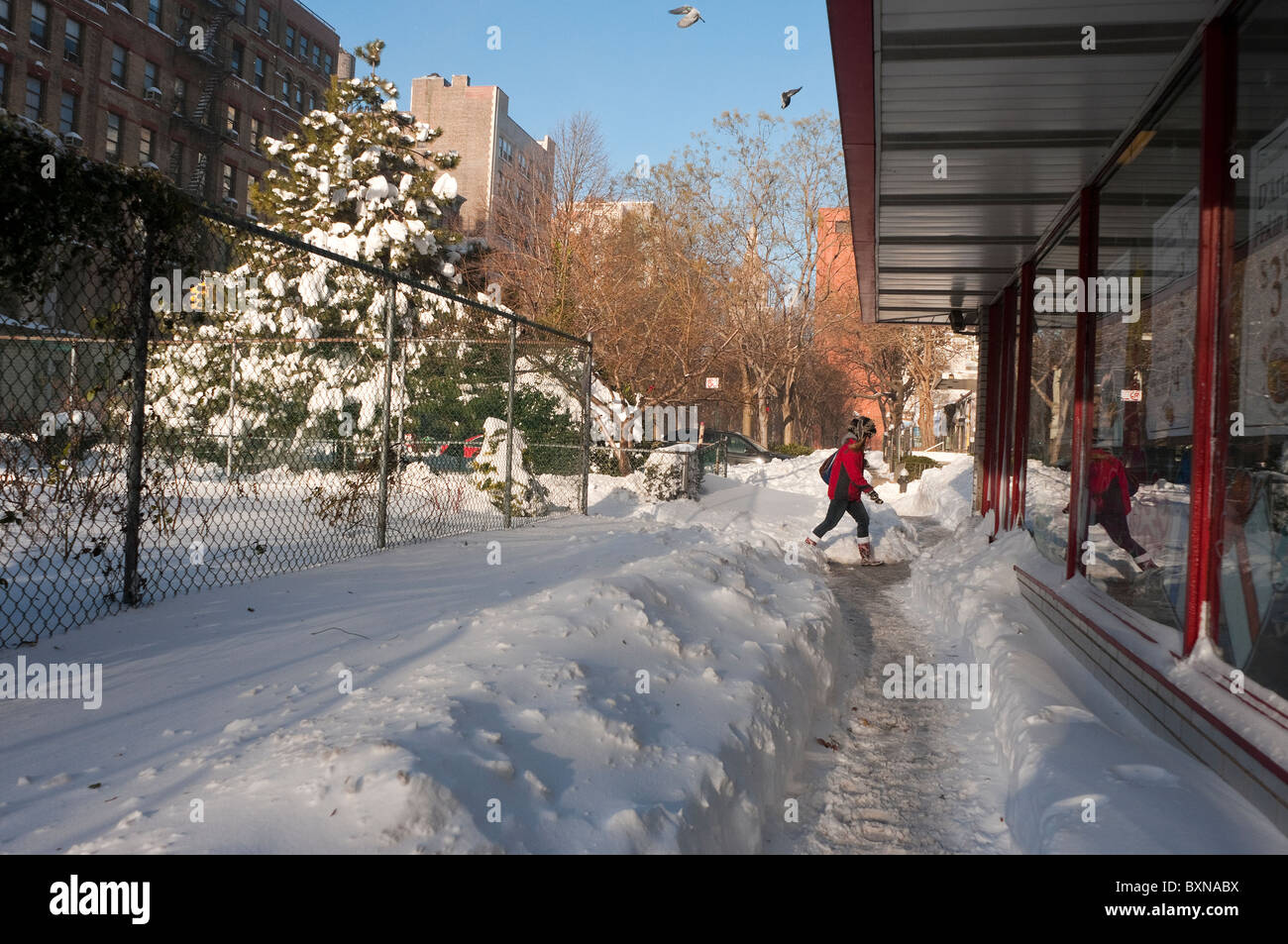 Weihnachten-Blizzard 2010 © Stacy Walsh Rosenstock/Alamy Stockfoto