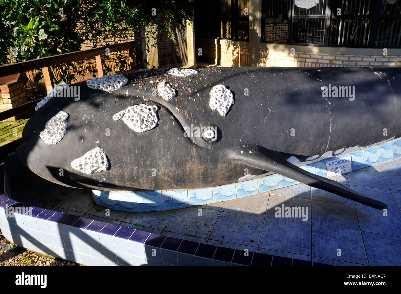 Southern Right Whale Modell, Eubalaena Australis, Imbituba, Santa Catarina, Brasilien Stockfoto