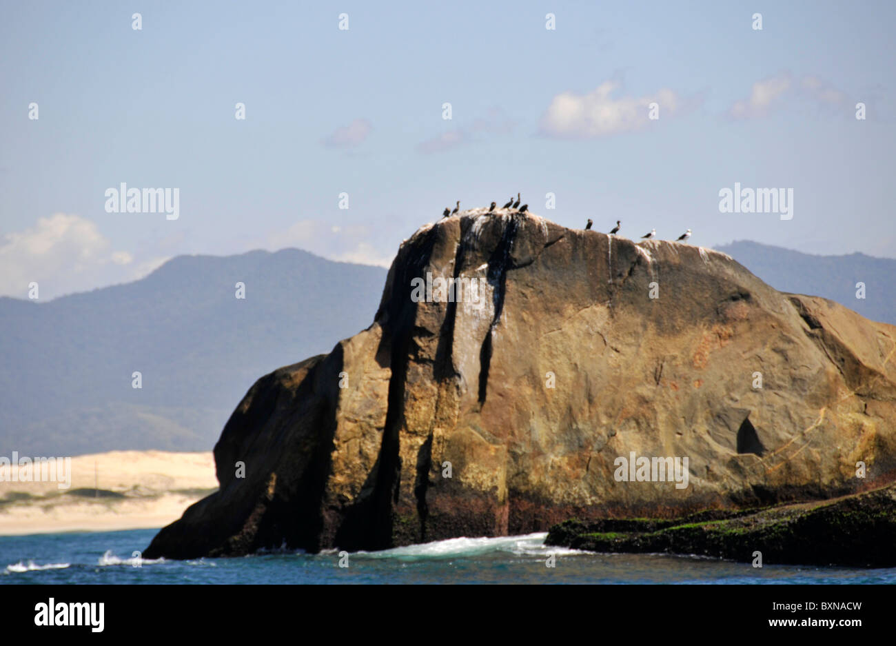 Meer und Felsen, Imbituba, Santa Catarina, Brasilien, Süd-Atlantik Stockfoto