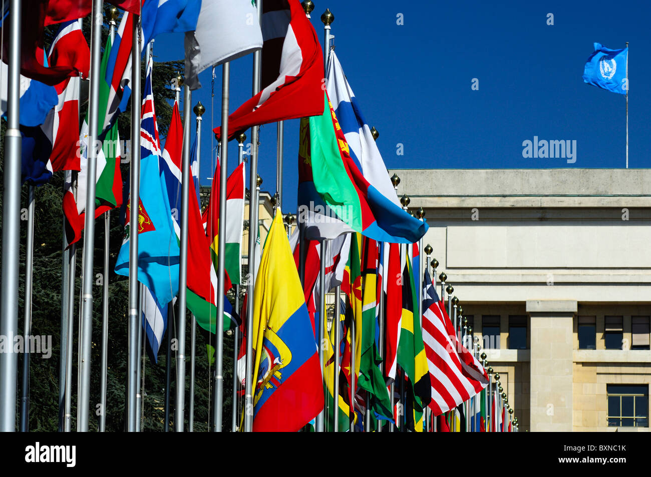 Die blaue Flagge der Vereinten Nationen und Fahnen aus allen Ländern im  Gericht von Fahnen, Vereinten Nationen, UN, Genf, Schweiz Stockfotografie -  Alamy
