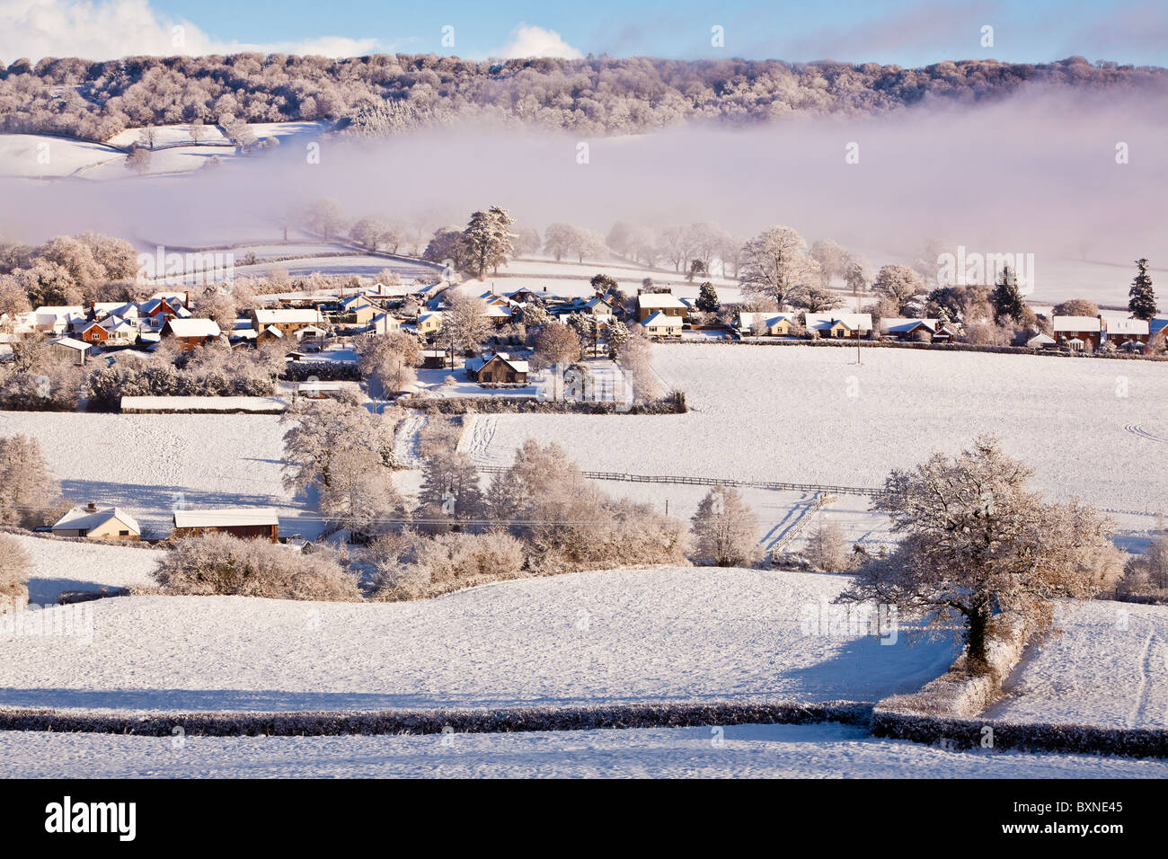 Verschneite Felder im ländlichen East Devon Stockfoto