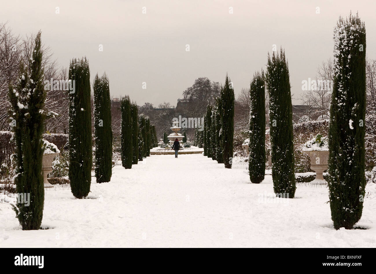 Regents Park Rosengarten im winter Stockfoto
