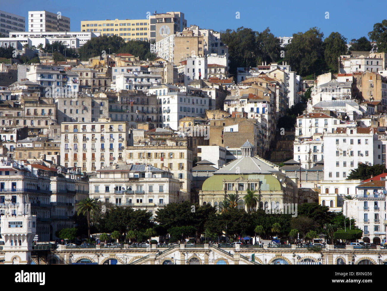 Algier, Stadt von Algier in Algerien, Nordafrika Stockfoto
