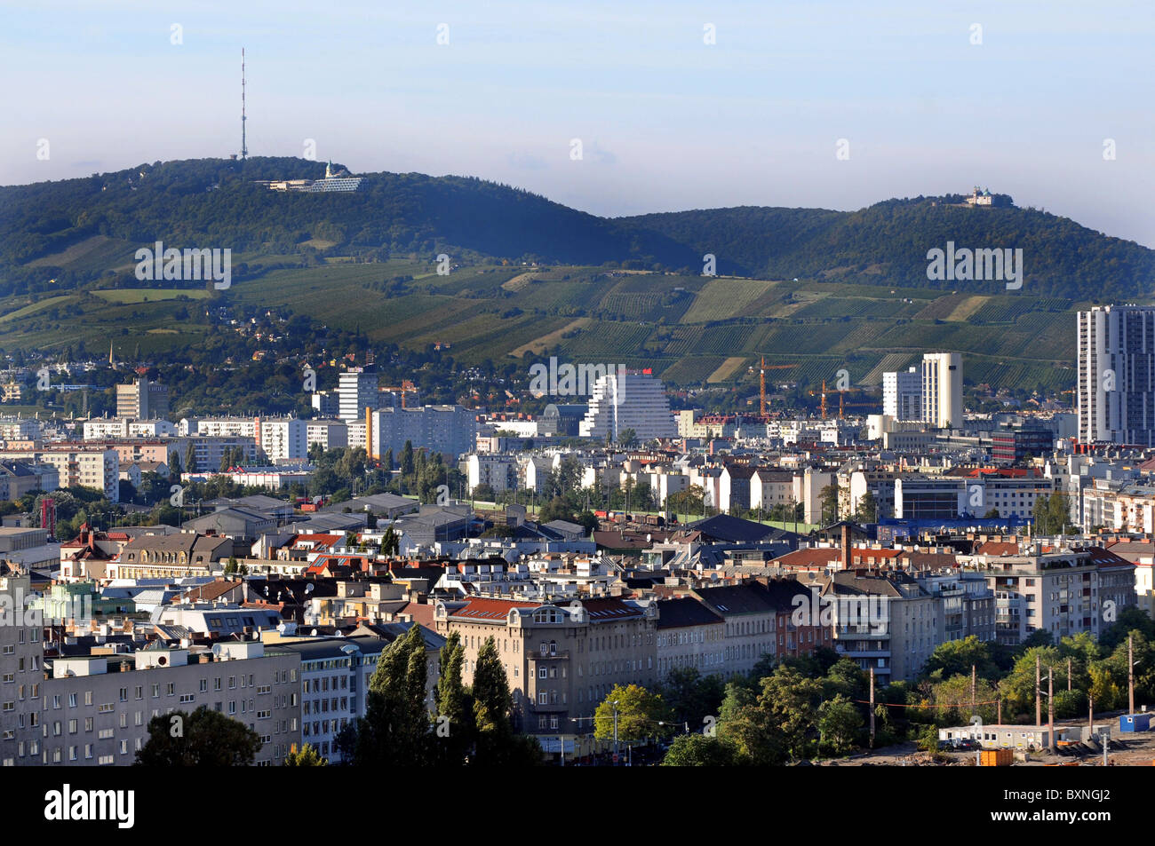 Wien. Österreich, Blick über einen Teil der Stadt mit Blick auf die Weinberge des 19. Bezirks einschließlich Grinzing Stockfoto