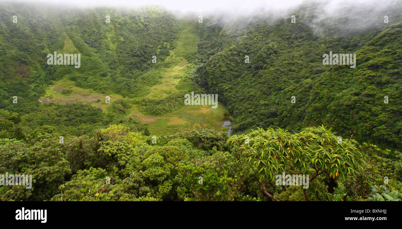 Der Krater - St. Kitts Stockfoto