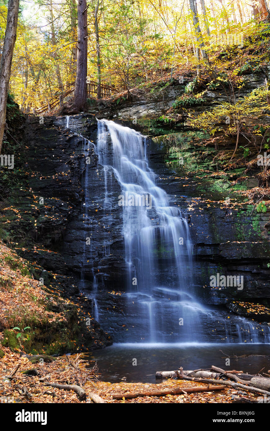 Herbst-Wasserfall in den Bergen mit Laub. Brautjungfer fällt vom Bushkill fällt, Pennsylvania. Stockfoto