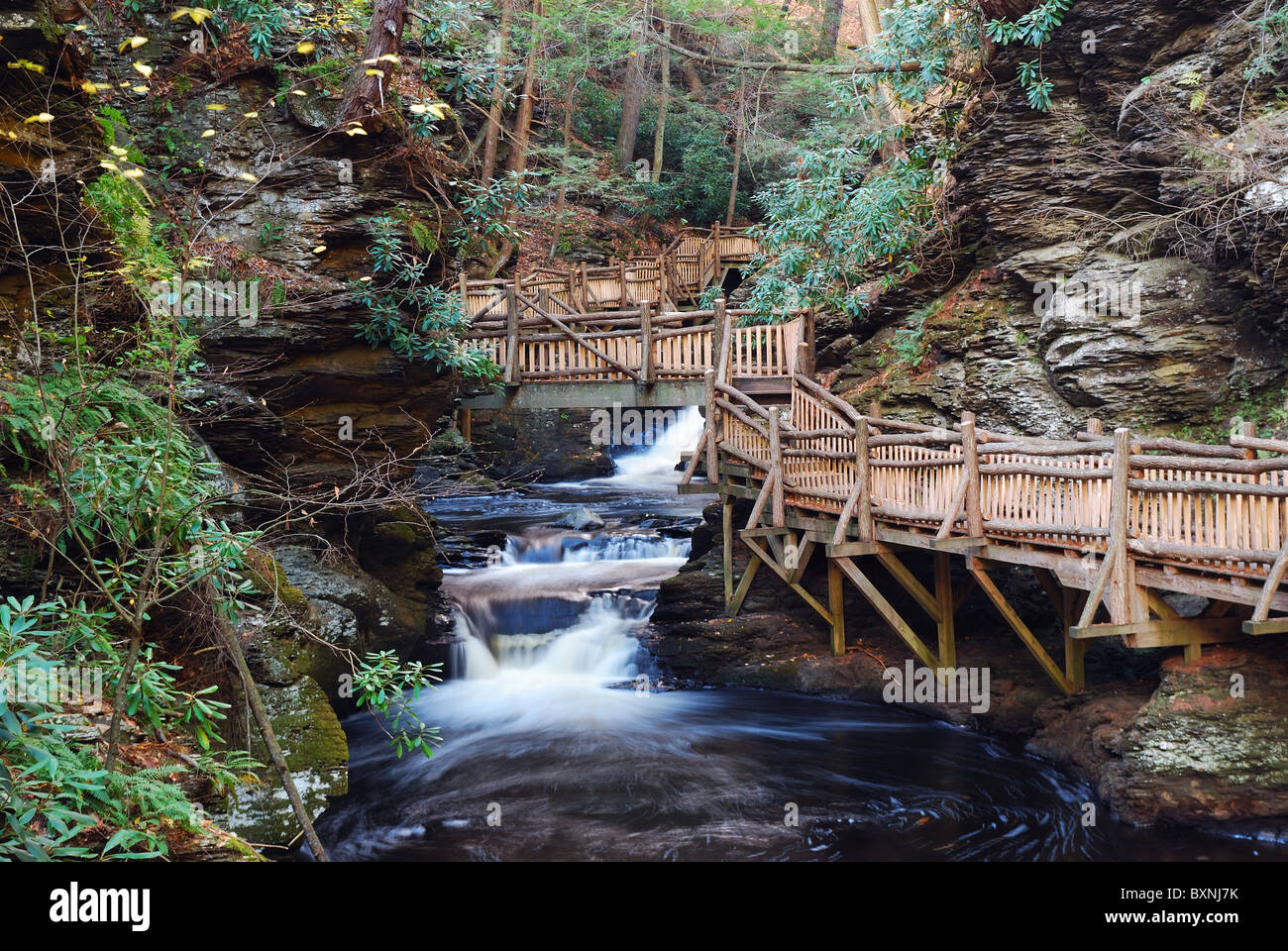 Herbst Creek mit Wanderwegen und Laub im Wald. Bushkill fällt, Pennsylvania. Stockfoto