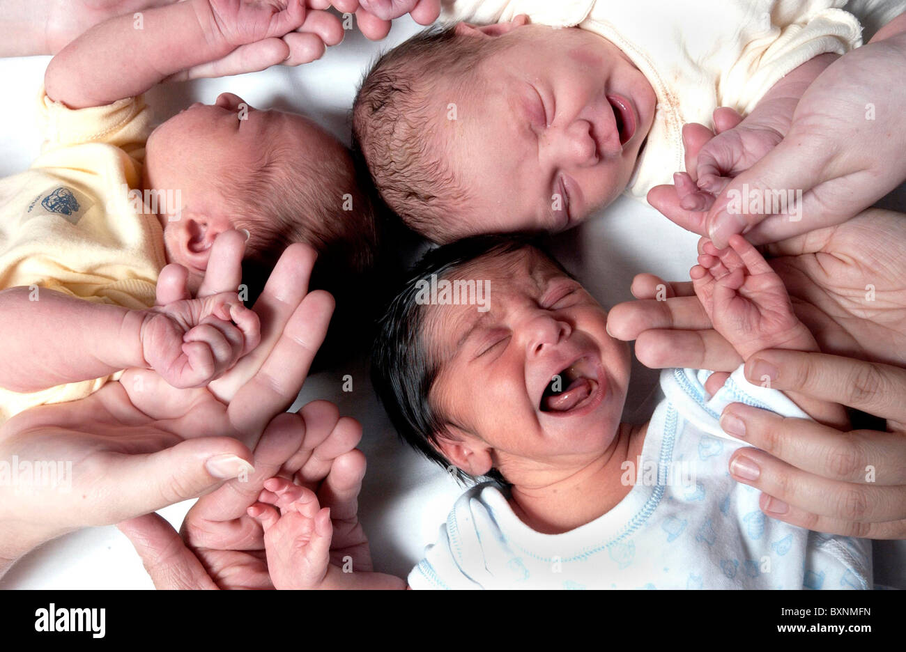 Royal Sussex County Hospital, Brighton, Neugeborene in der Entbindungsstation. Stockfoto