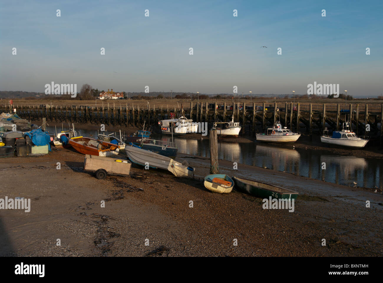 Angelboote/Fischerboote bei Ebbe auf dem Fluss Rother Roggen Hafen East Sussex England Stockfoto