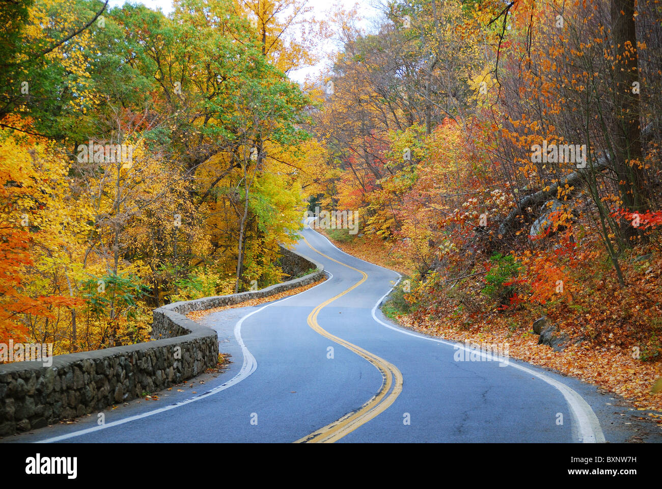Kurvenreiche Straße im Herbst Wald mit bunten Laub Baum im ländlichen Raum. Stockfoto