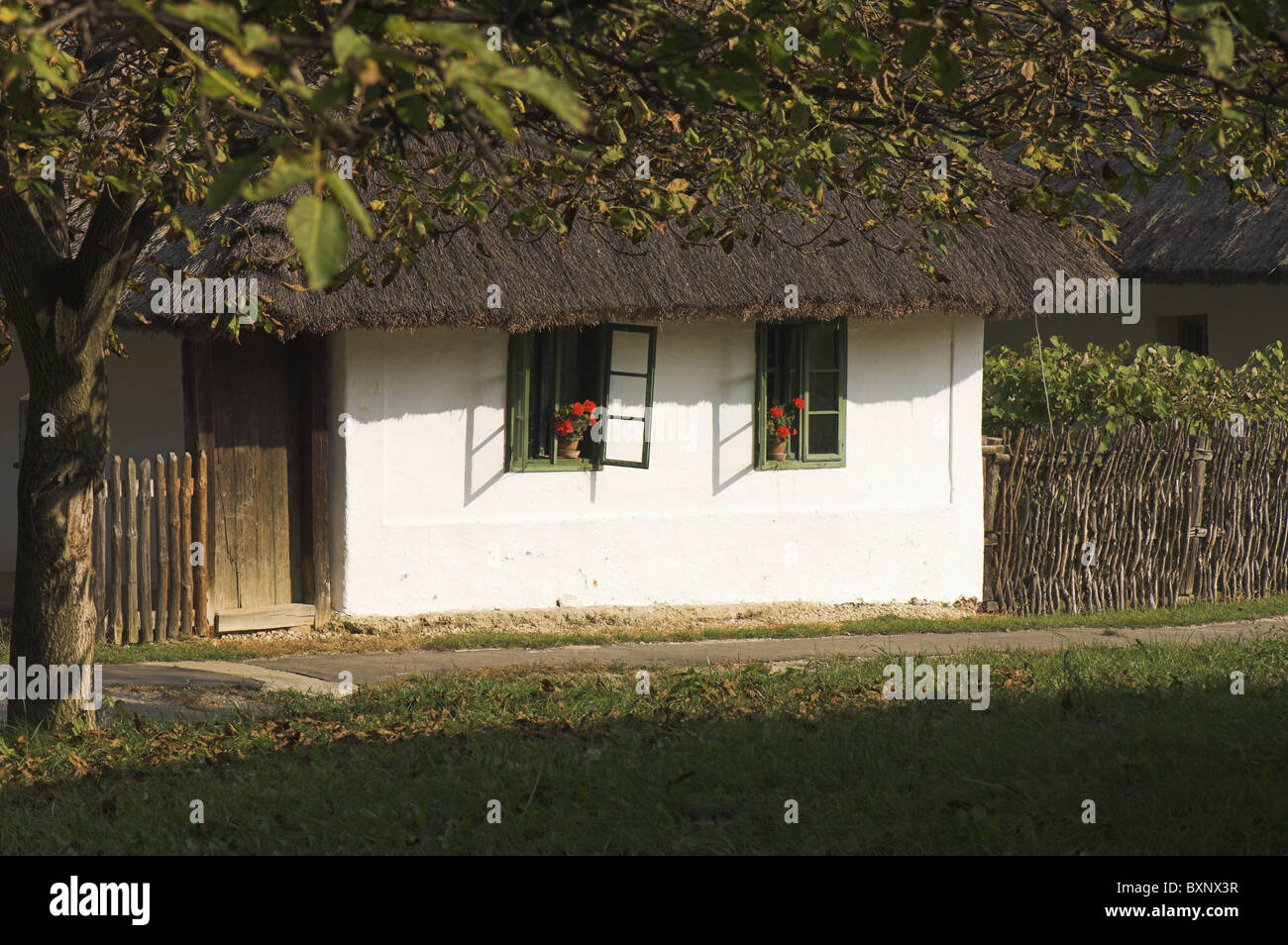 Balaton in Balatonmariafürdö Stockfoto