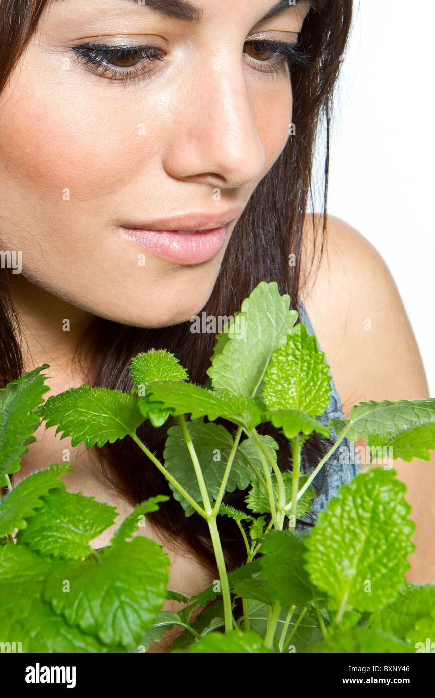 Frisch Freigestellt Stockfotos und bilder Kaufen Alamy