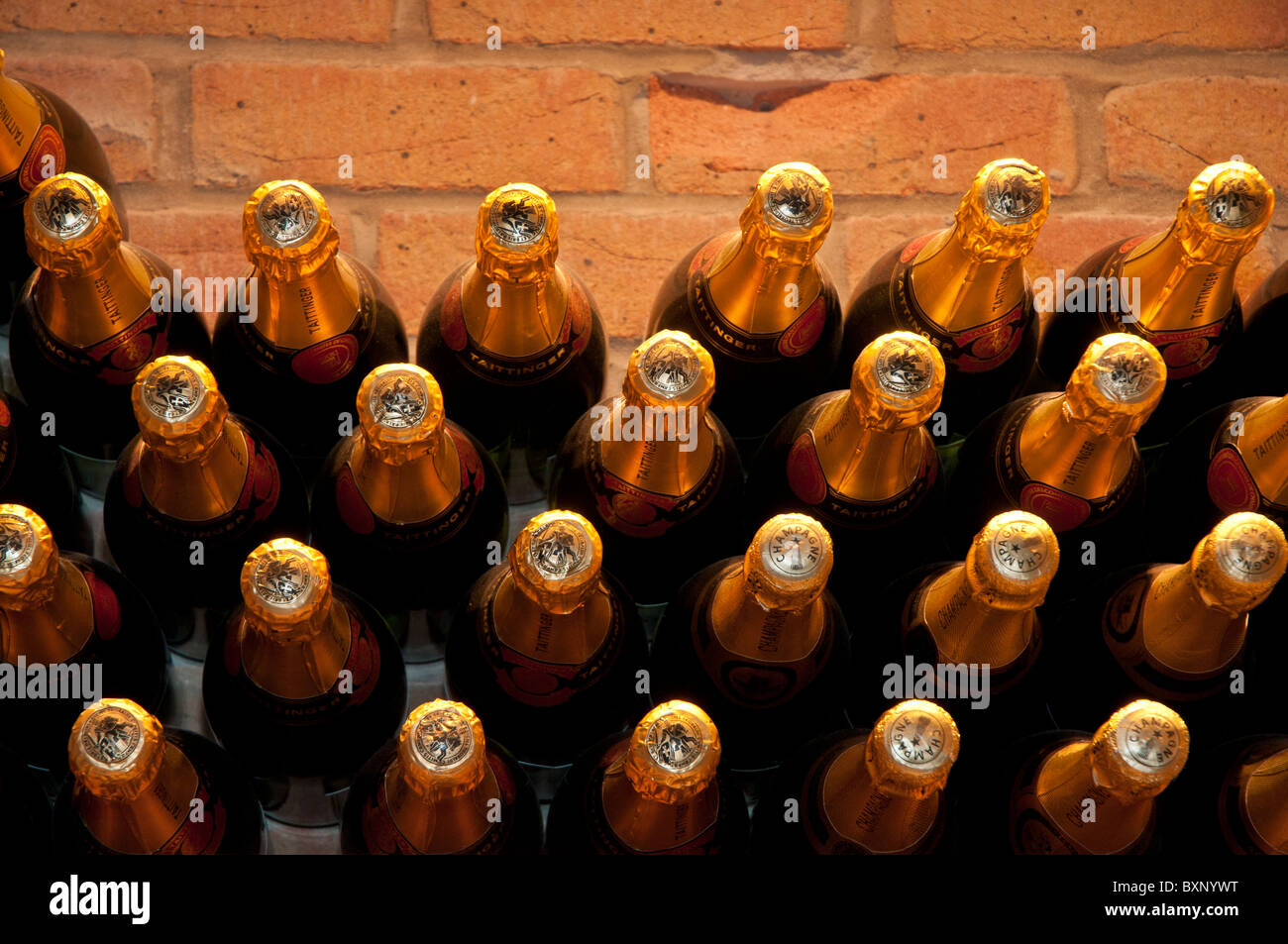 Weinkeller Tür zeigt der Wein-und Champagnerflaschen Stockfoto
