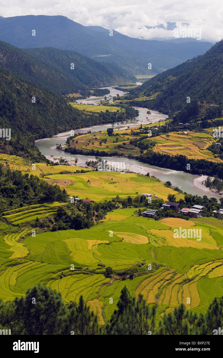 Tsang Chhu Fluss, Punakha, Bhutan, Asien Stockfoto