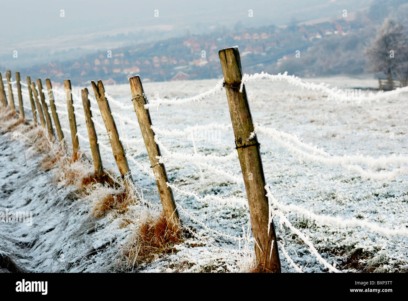 Winter-Stacheldraht-Zaun-England-Großbritannien Stockfoto