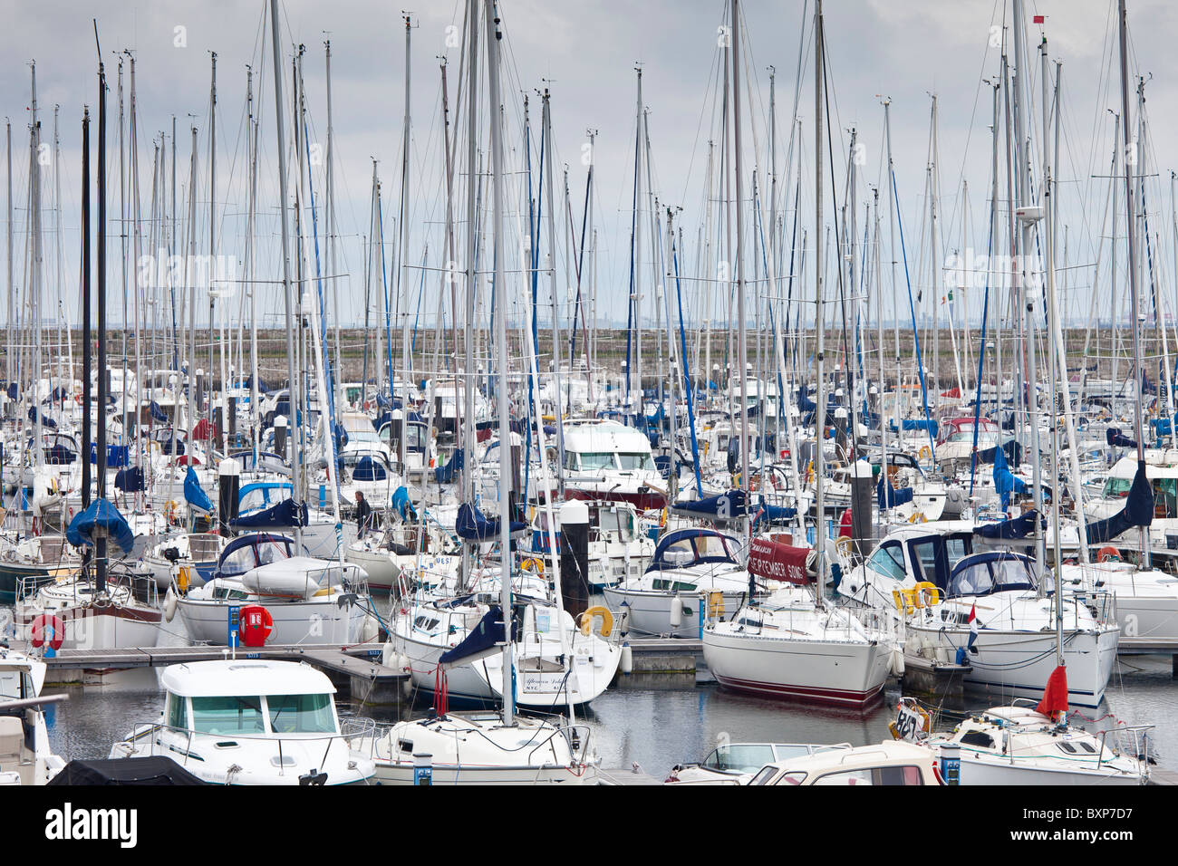 Yachten in der Marina am Hafen von Dun Laoghaire, Ostküste Irlands Stockfoto