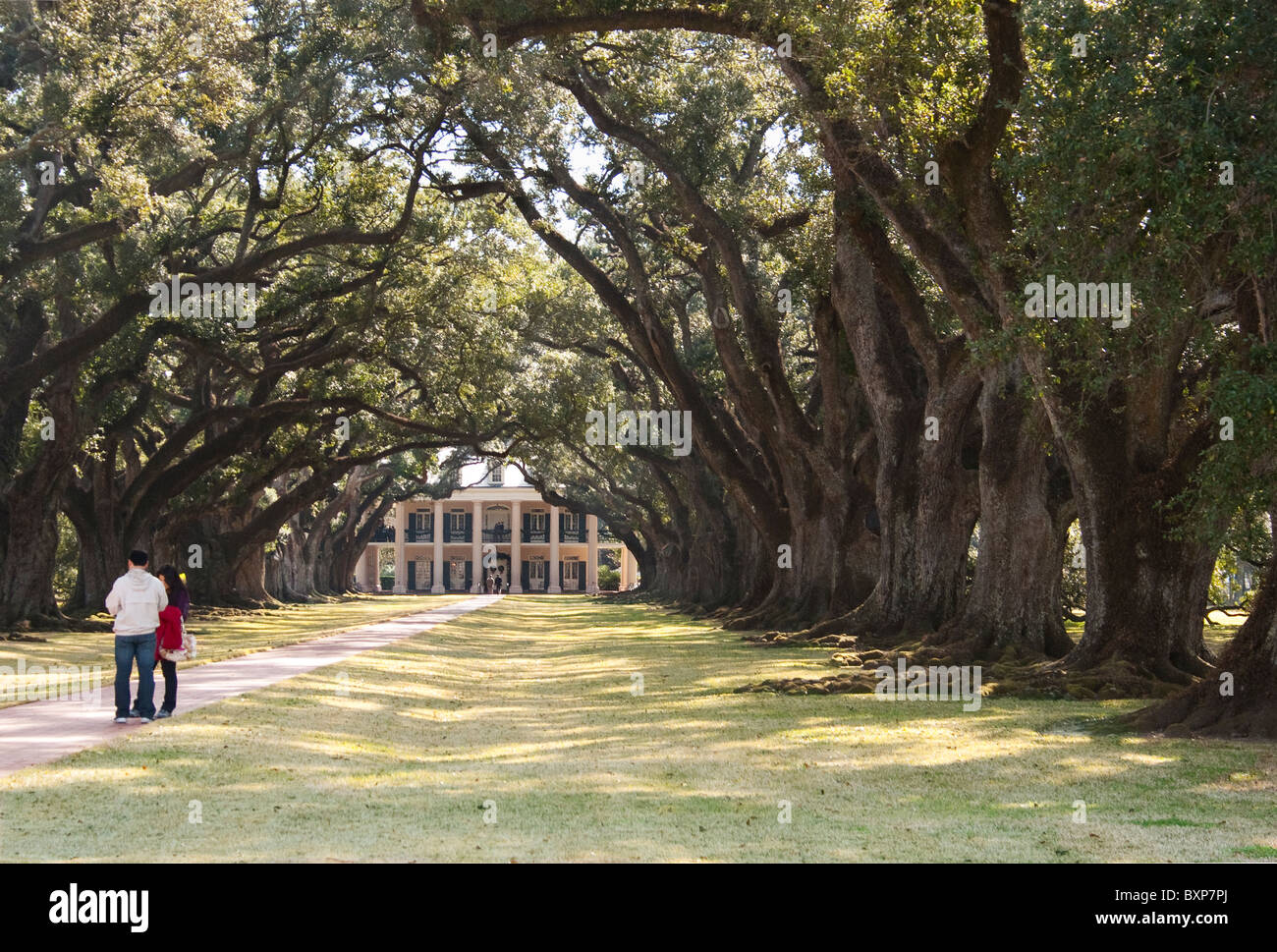 Oak Alley Plantage, mit 28 300 yr alten Eichen, am westlichen Ufer des Mississippi, 45 Minuten von New Orleans. Stockfoto