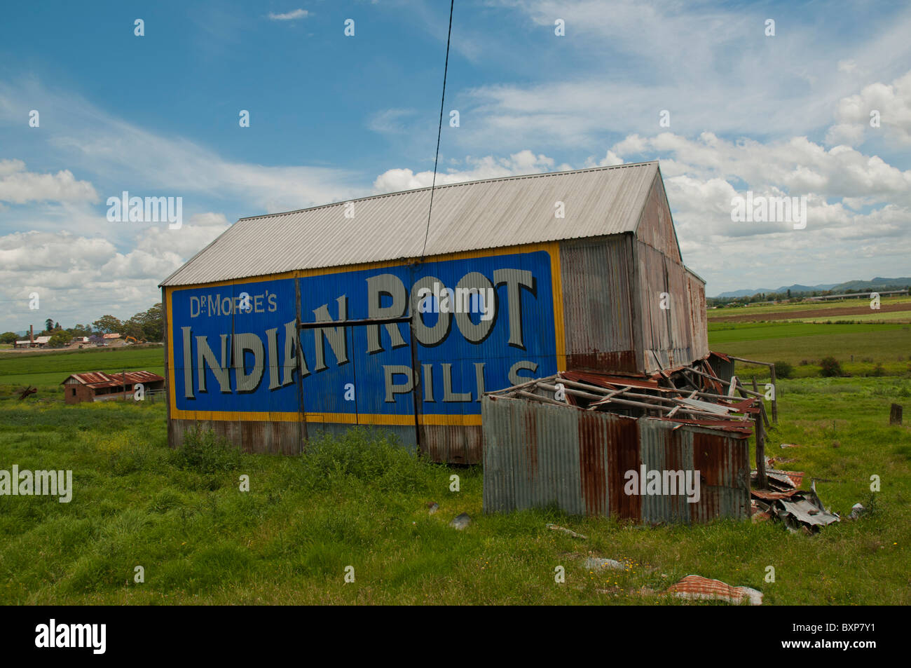 Alte Patentmedizin-Werbung auf der Seite einer Scheune in Morpeth bei Cessnock in New South Wales Stockfoto