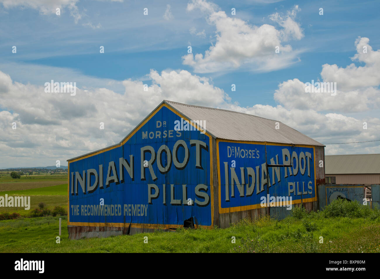 Alte Patentmedizin-Werbung auf der Seite einer Scheune in Morpeth bei Cessnock in New South Wales Stockfoto