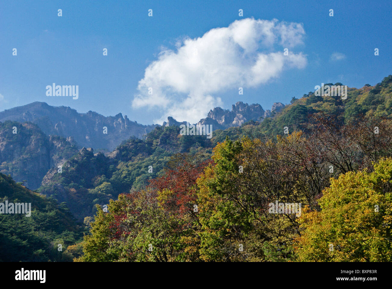 Seoraksan Nationalpark im Herbst, Südkorea Stockfoto