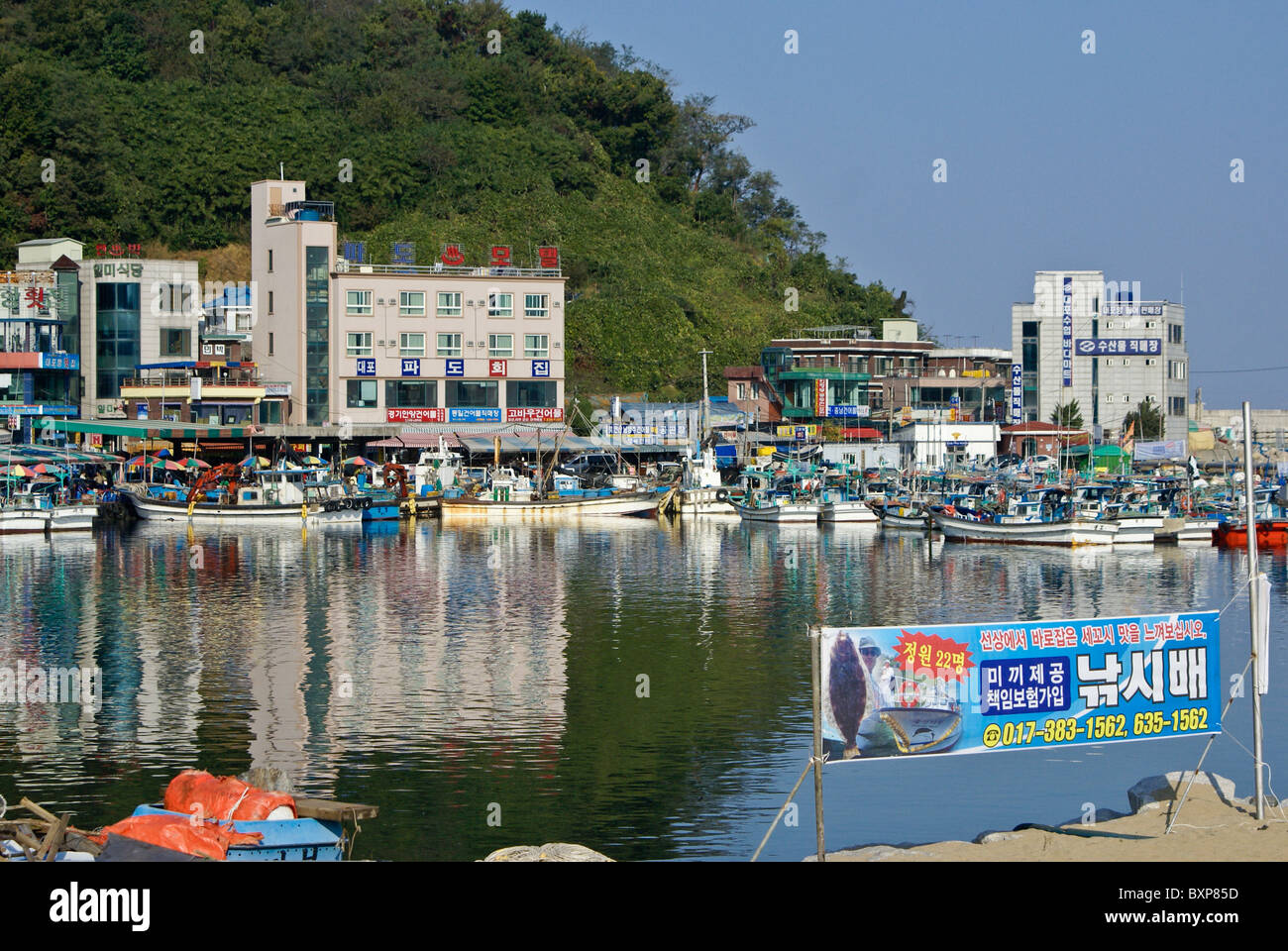 Sokcho Hafen und Fisch Markt, Südkorea Stockfoto