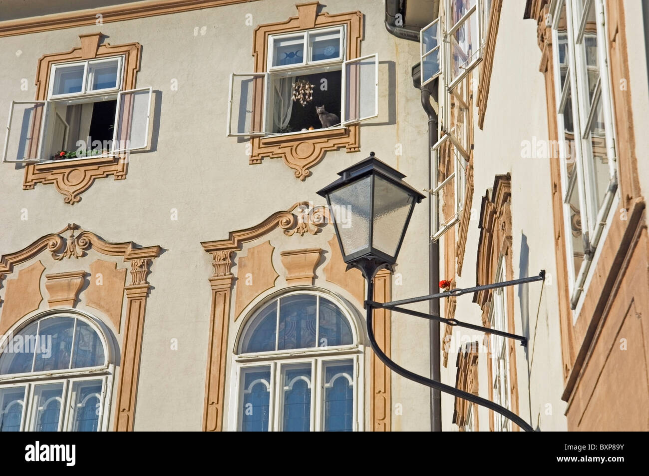 Eine schwarze Katze schaut aus einem geöffneten Fenster In traditioneller Bauweise Stockfoto