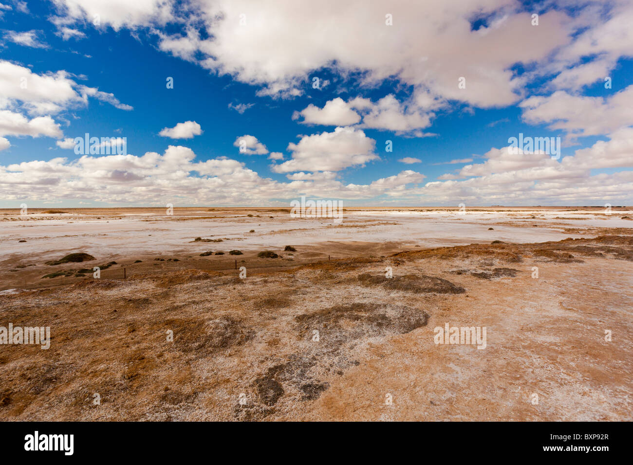 Salzsee in der Nähe von Blanche Tellerfeder Hügel auf den Oodnadatta Track im Süden Australiens Outback Stockfoto