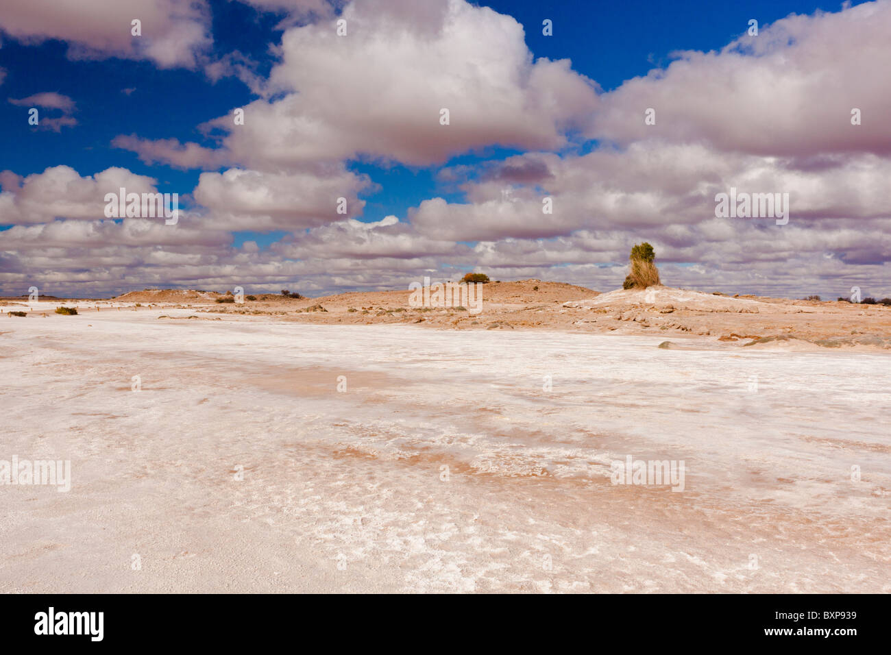 Salzsee in der Nähe von Blanche Tellerfeder Hügel auf den Oodnadatta Track im Süden Australiens Outback Stockfoto