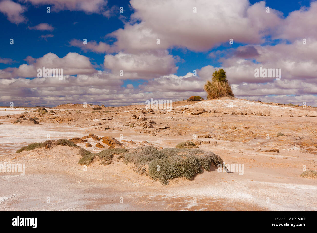 Ein ausgestorbener Hügel Frühling in der Nähe von Blanche Mound Tellerfeder auf den Oodnadatta Track im Süden Australiens Outback Stockfoto