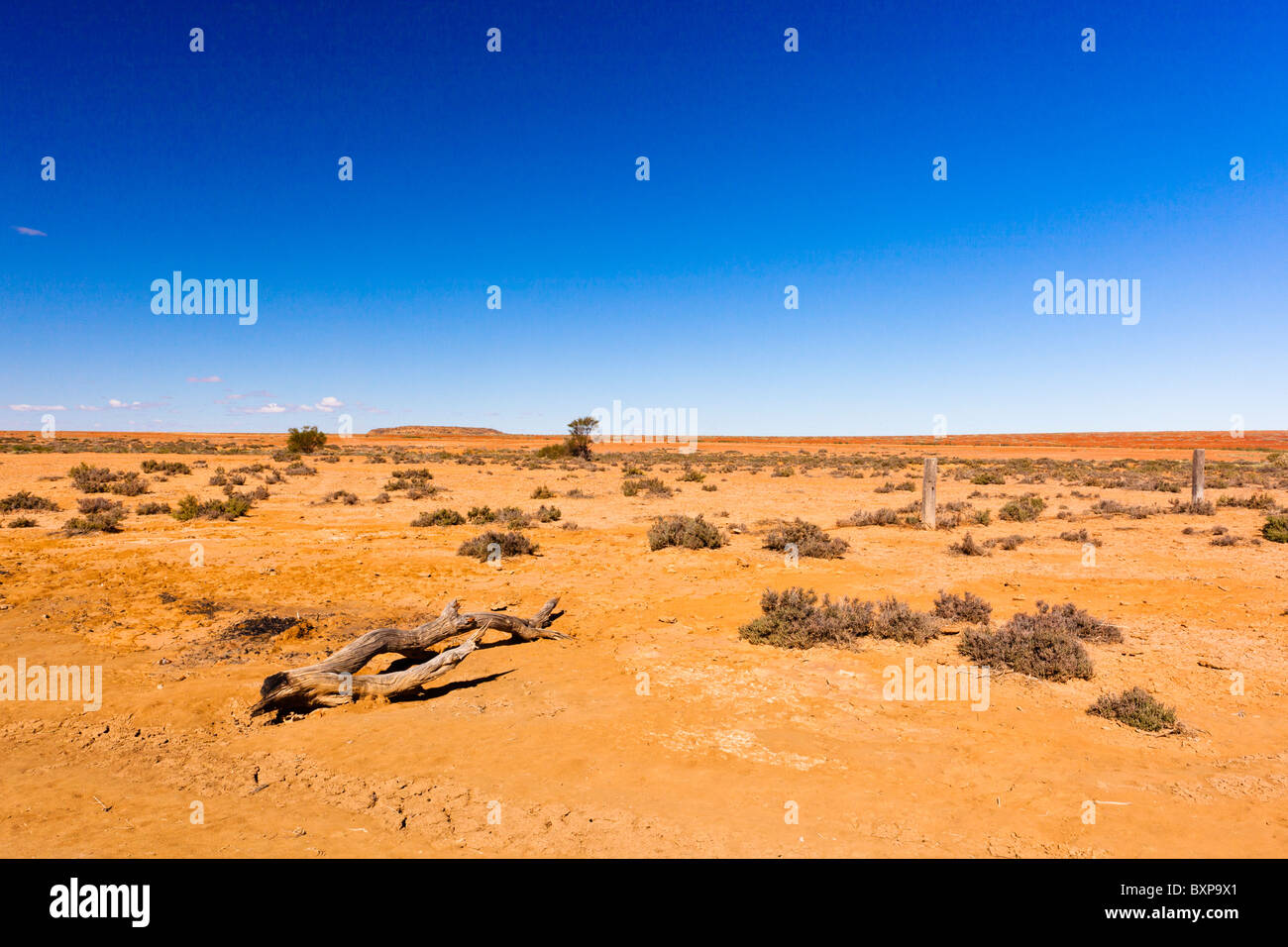 Flach, leer und öde Land in der Nähe von Beresford Federn auf den Oodnadatta Track im Süden Australiens outback Stockfoto