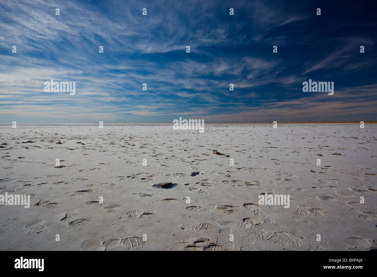 Weite des Salzes in Lake Eyre South, Oodnadatta Track, South Australia Stockfoto