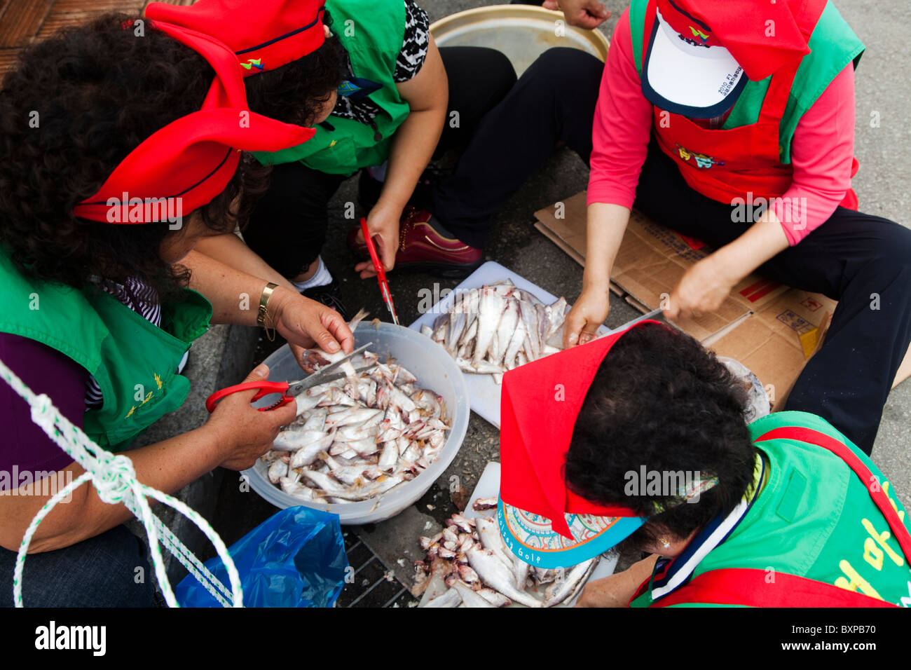 Frauen bereiten Fisch für das Kochen mit einer Schere im Hafen von Mokpo, Südkorea Stockfoto