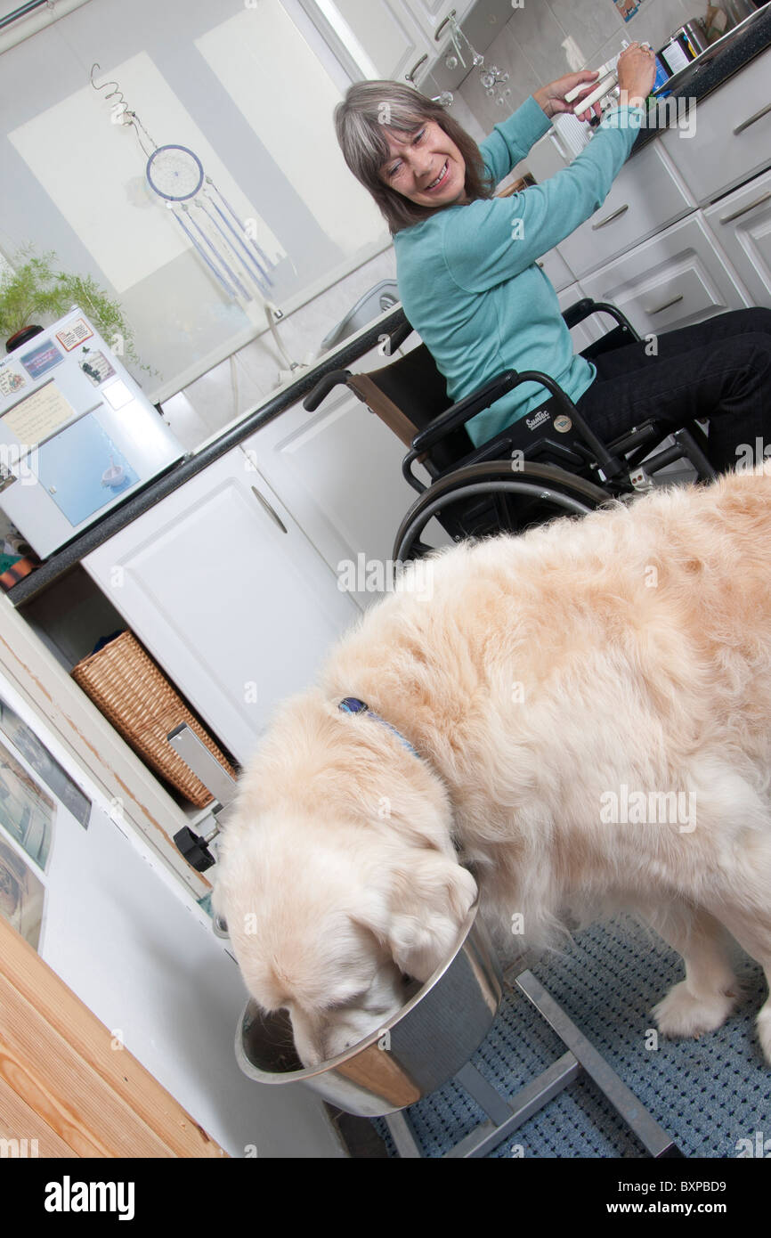 behinderte Frau im Rollstuhl in die Küche mit ihrem Hund Stockfoto