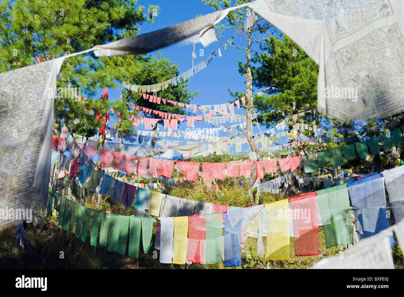 Gebet-flags (Hauptstadt) Thimphu, Bhutan, Asien Stockfoto