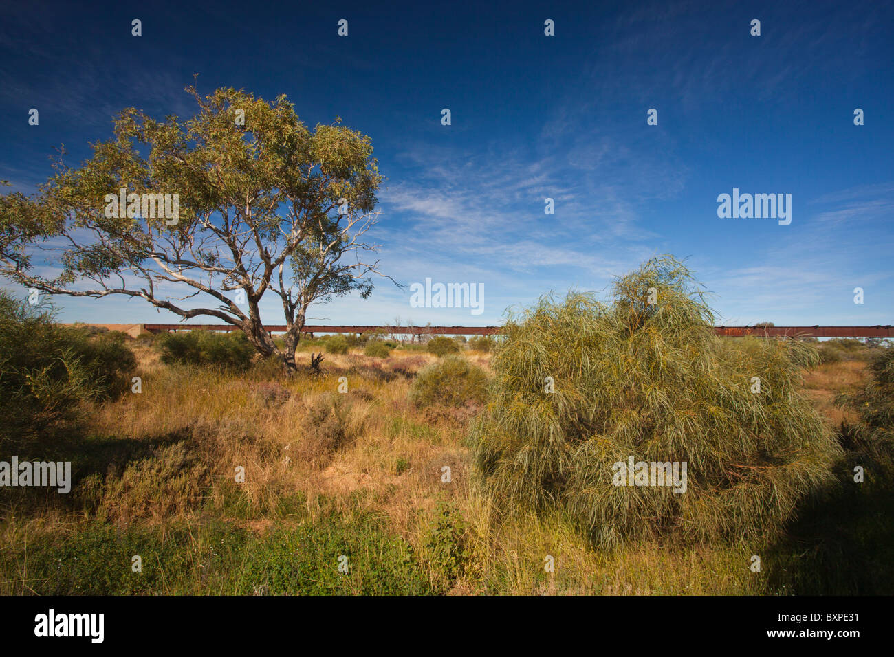 Alte Eisenbahn Brücke über Gregory Creek, Old Ghan Railway, Oodnadatta Track, South Australia Stockfoto
