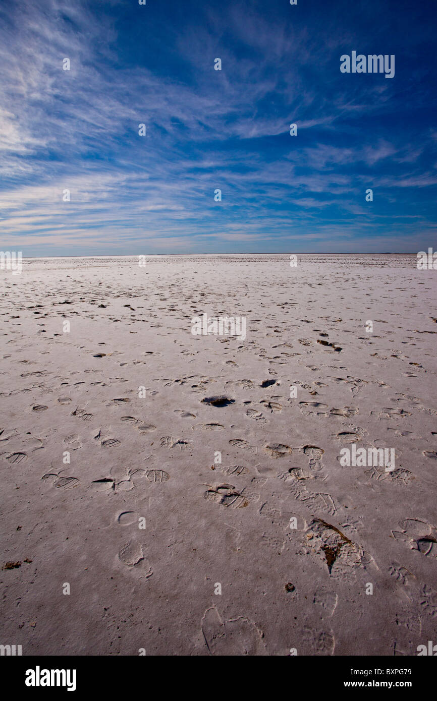 Weite des Salzes in Lake Eyre South, Oodnadatta Track, South Australia Stockfoto