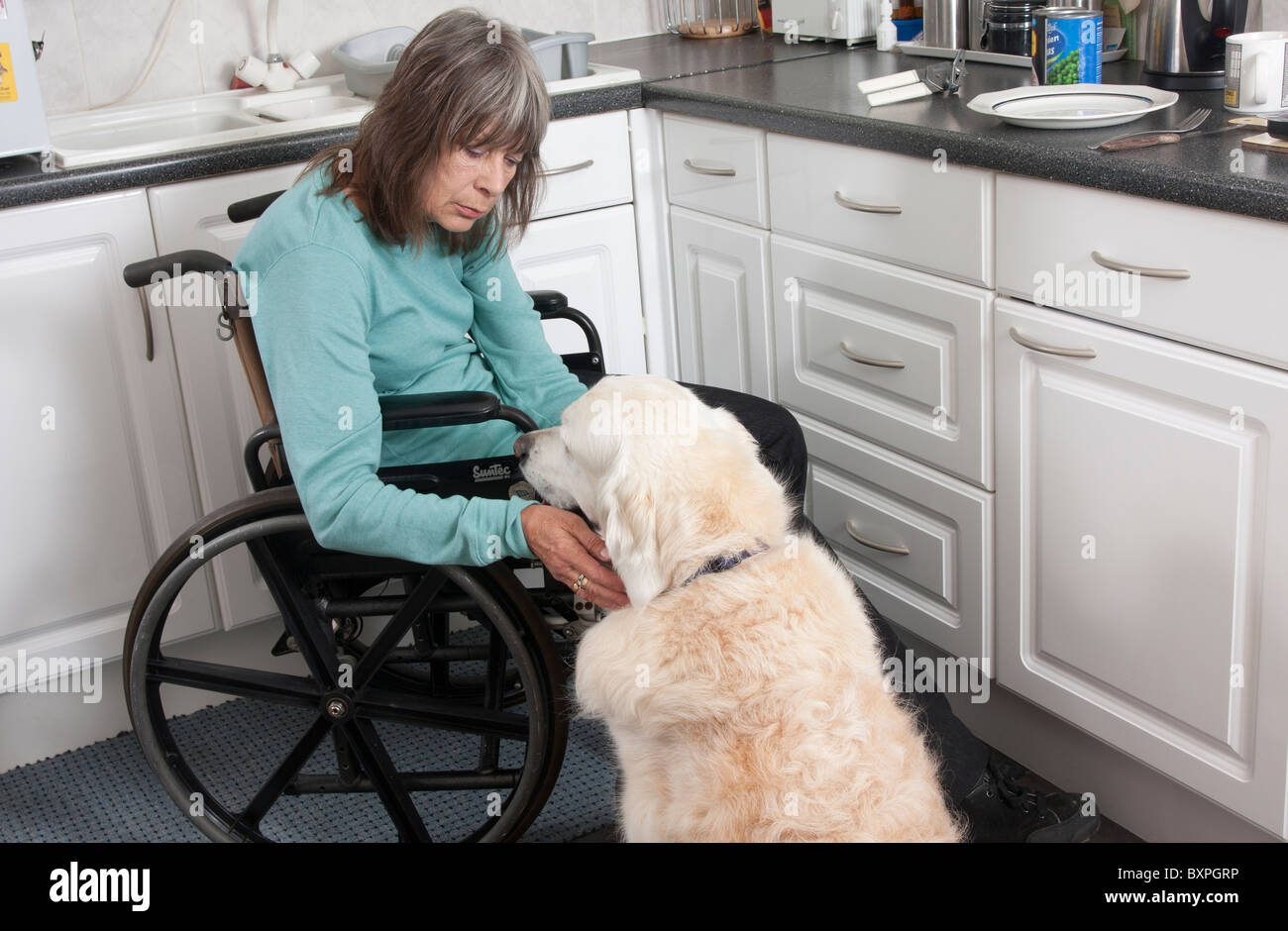 behinderte Frau an Rollstuhl gebunden zu Hause machen Getue ihres Hundes Stockfoto