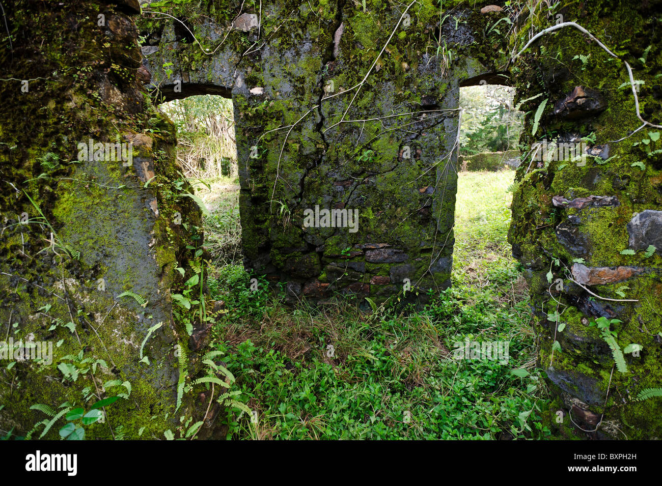 Separate Eingänge führen in getrennten Innenhöfe für männliche und weibliche Sklaven, Bunce Island, Sierra Leone. Stockfoto