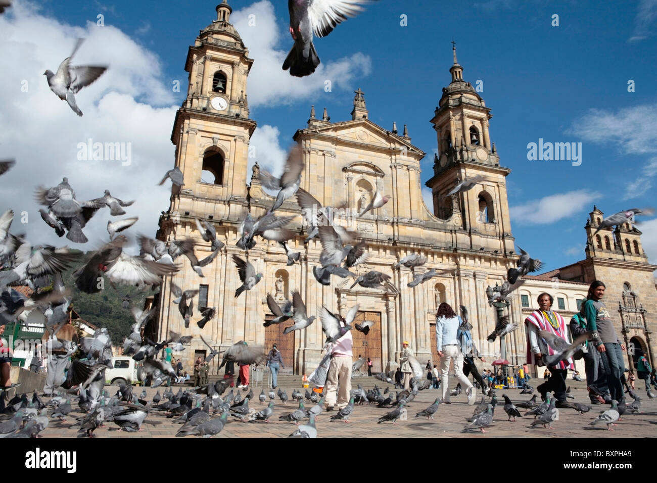 Tauben fliegen vor Primas Kathedrale Stockfoto