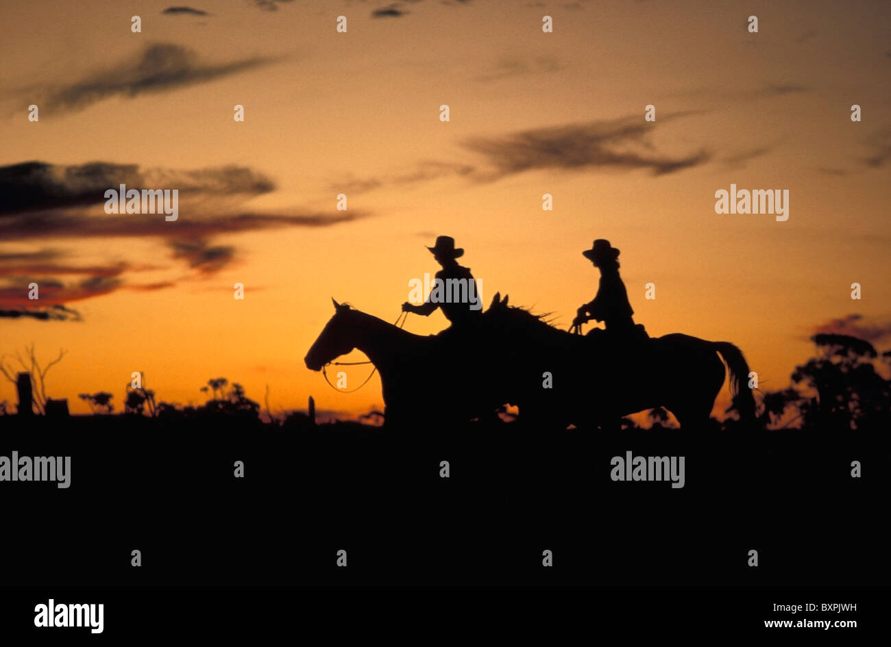 Silhouette des Menschen auf dem Pferderücken bei Sonnenuntergang Stockfoto