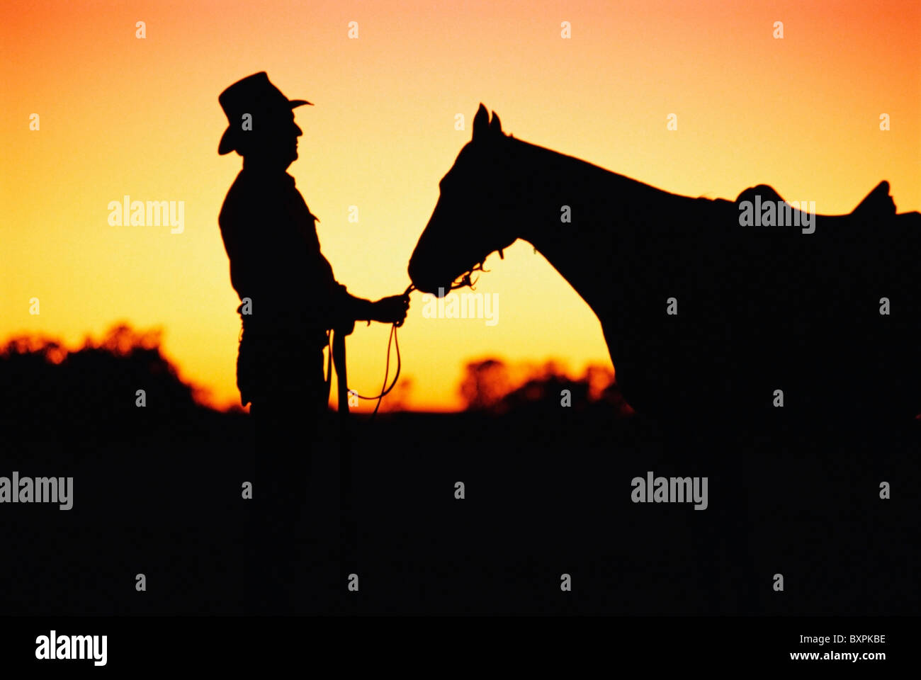 Silhouette Cowboy und Pferd, Australien Stockfoto