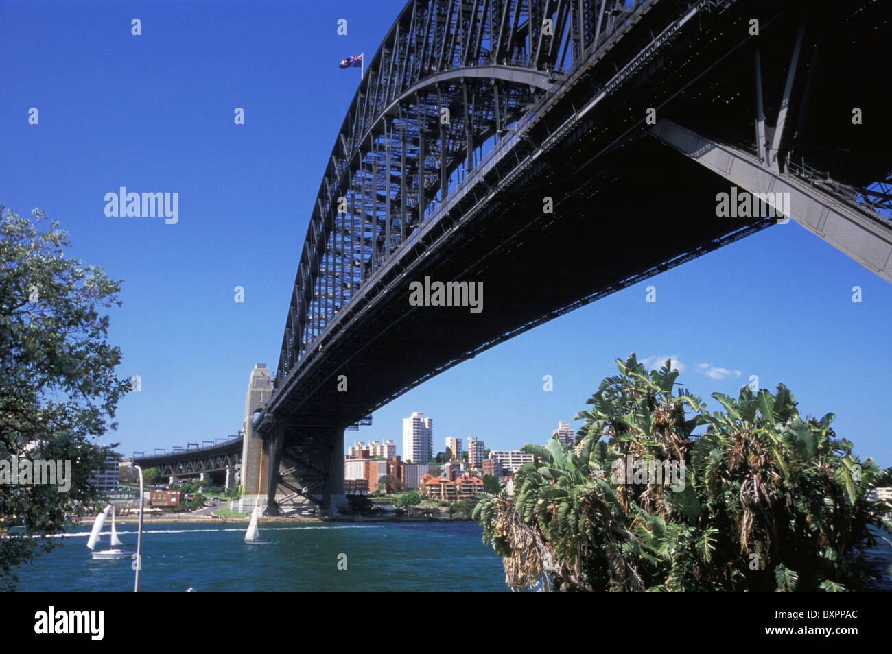 Hafenbrücke von Dawes Point Park Stockfoto