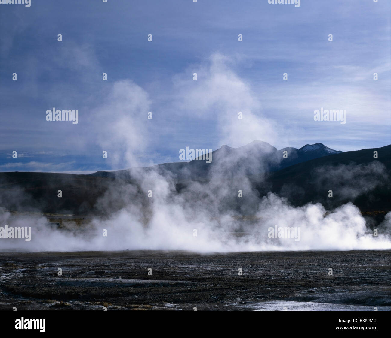 Dampf bei El Tatio Geysire Stockfoto