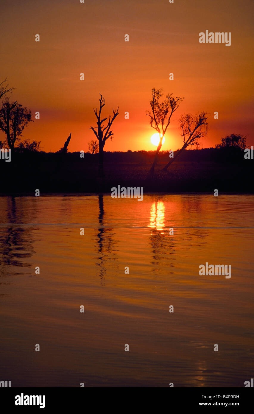 Yellow Water Wetlands Stockfoto