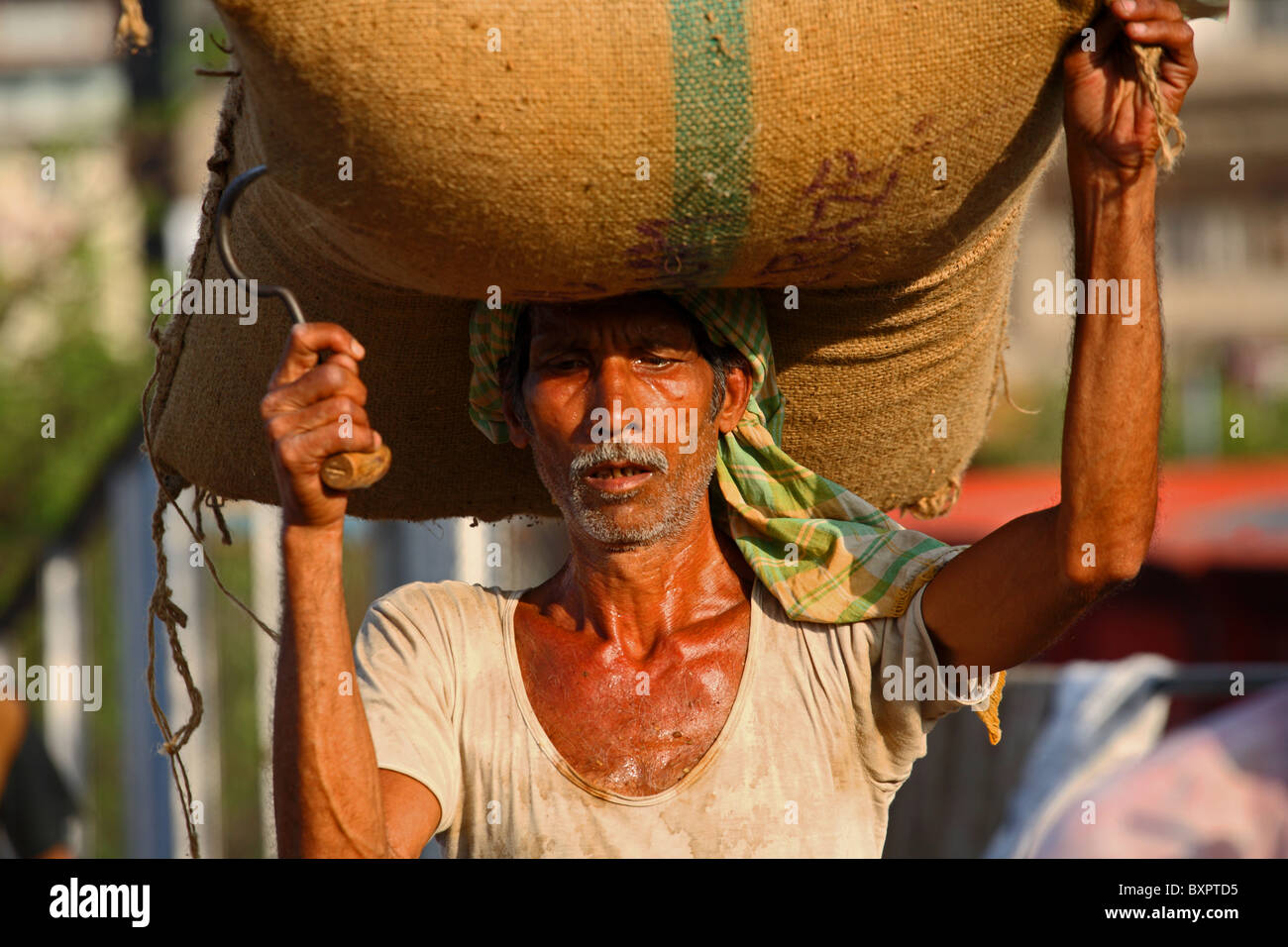 Indischer Mann Gewicht am Kopf in Kalkutta, Indien Stockfoto
