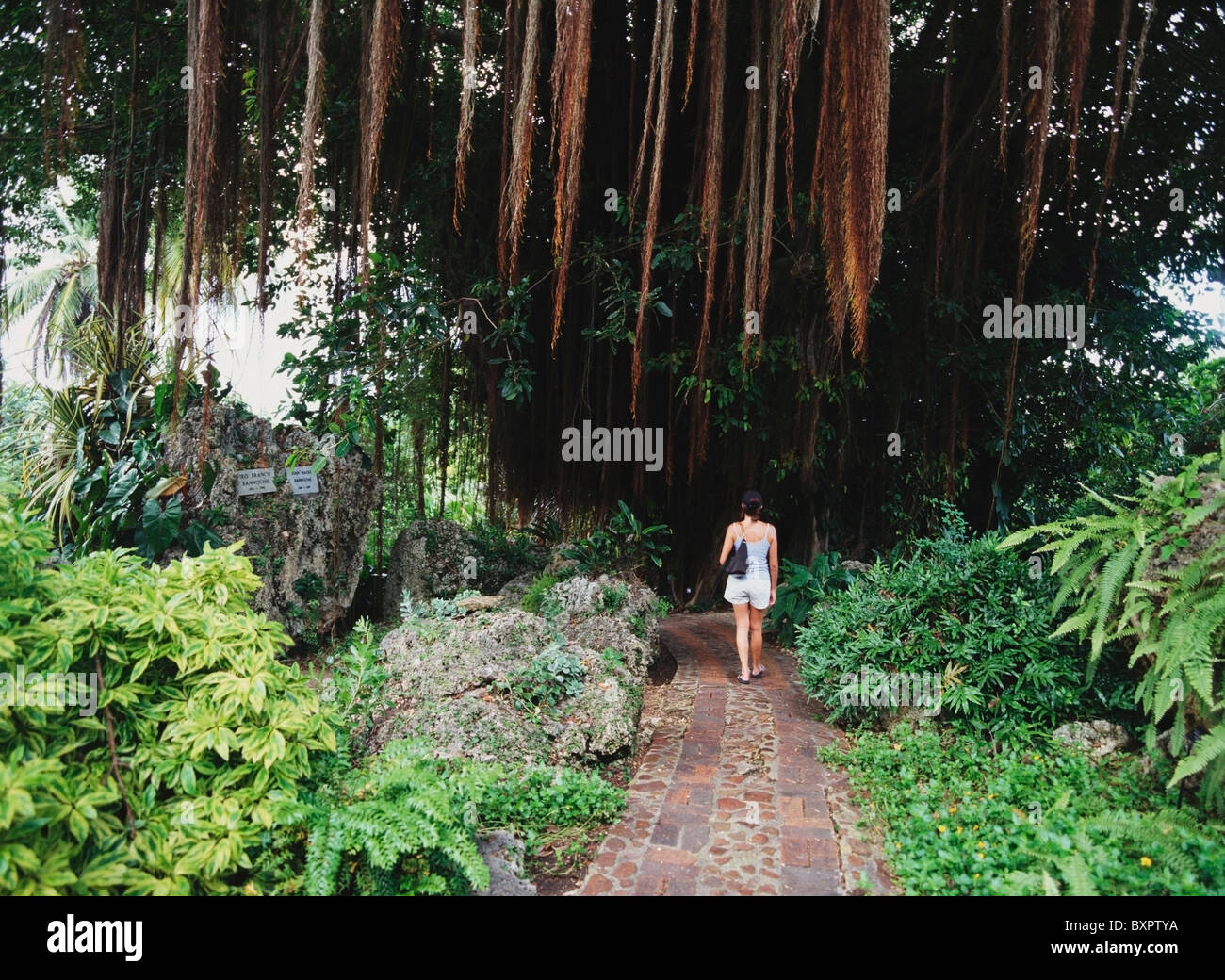 Frau zu Fuß auf den Weg In einen Garten Stockfoto